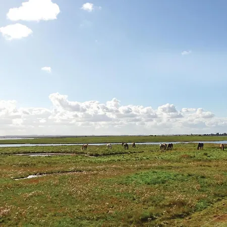 Awesome In 아파트 Boiensdorf